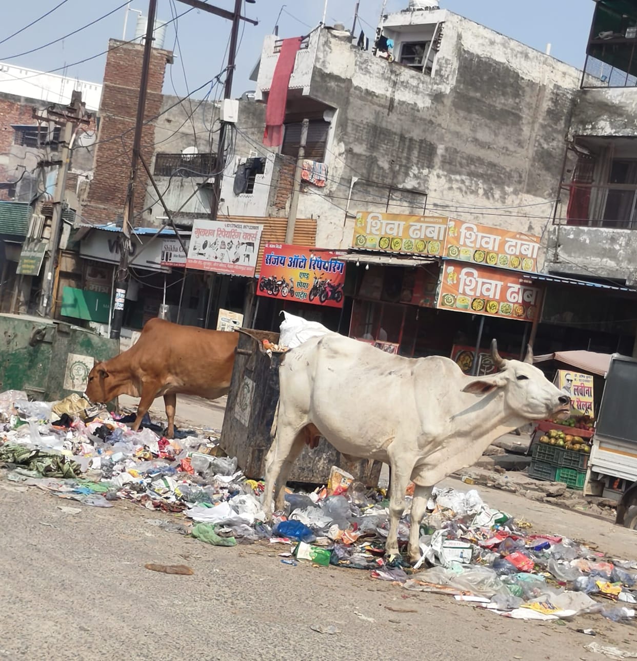 Listen to me: Garbage strewn across the street