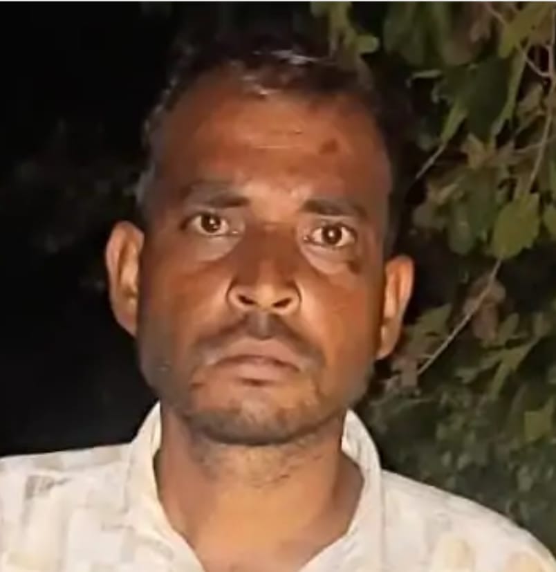 Farmer killed after being attacked by a bull while trying to drive animals away