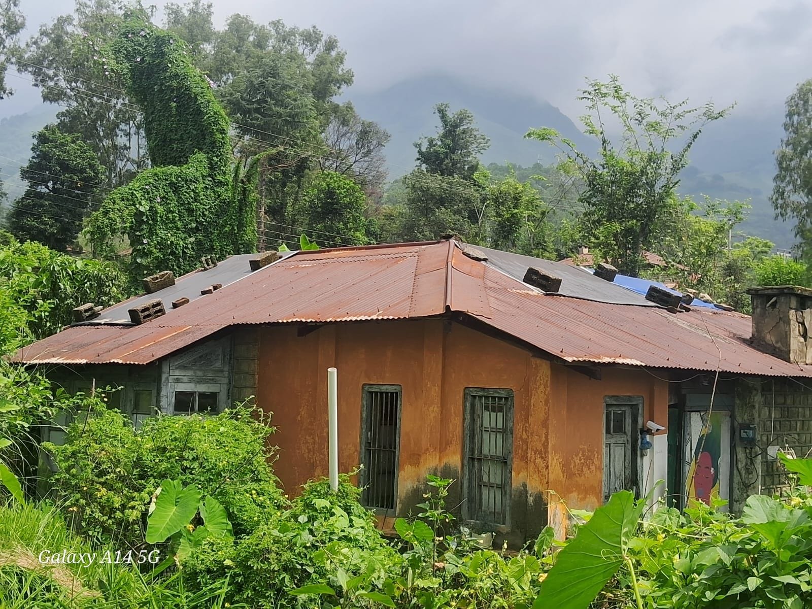 नागरिक अस्पताल जोगिंदरनगर के खस्ताहाल आवास। संवाद