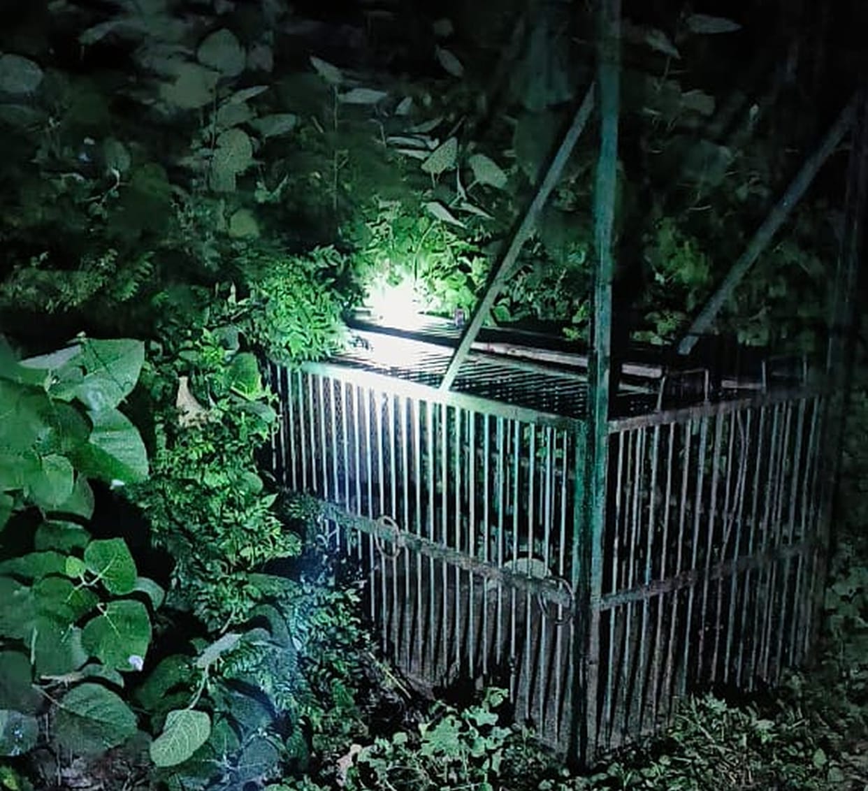 The tiger remains elusive even after the cage was changed.