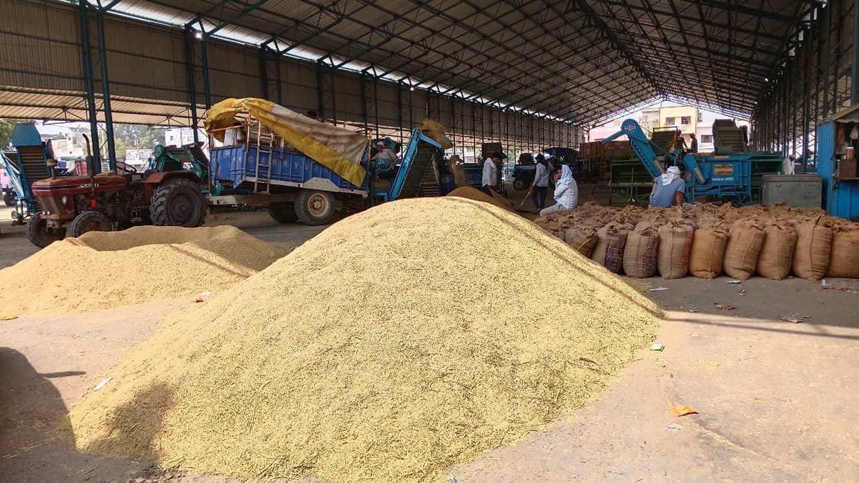 Gate passes for Parmal paddy will be issued as soon as procurement begins