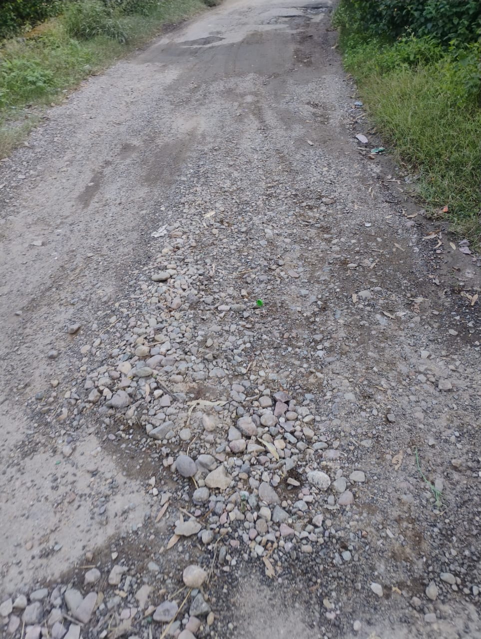 Dimmi-Jhambar link road in poor condition for five years; deep potholes dot the three-kilometer stretch.