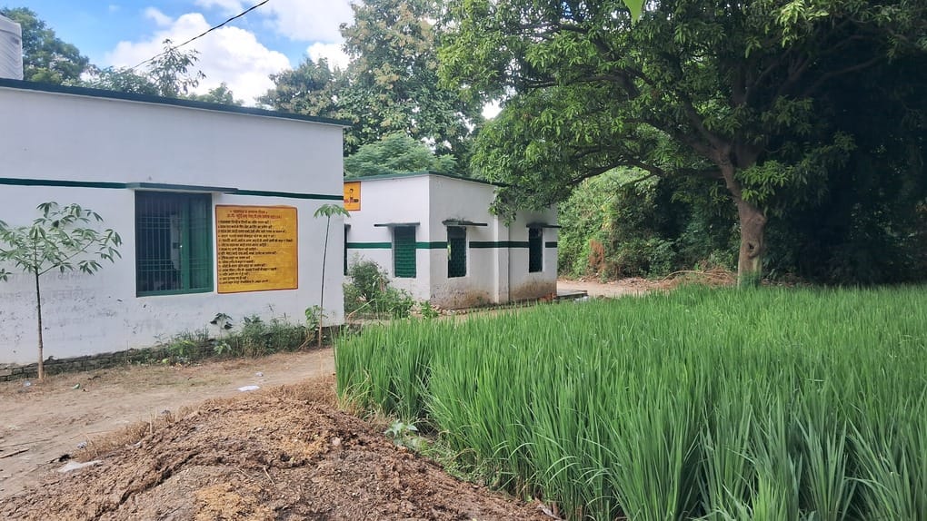 No boundary walls at council schools; stray animals run wild.