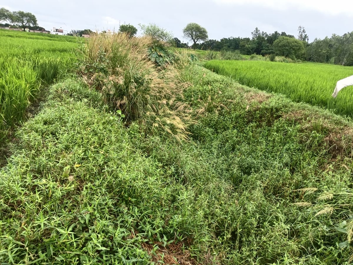 Azamgarh News: अजमतगढ़ के अतरकच्छा में बिना काम 3.51 लाख का भुगतान