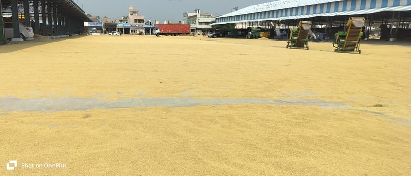 66,000 quintals of paddy weighed; orders for gate passes not received, and no staff found present.