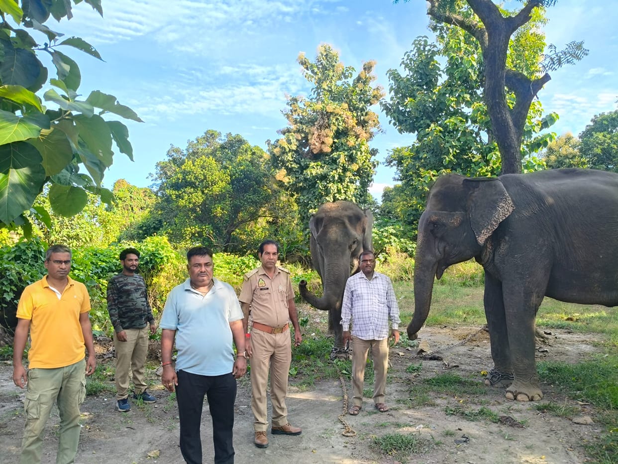 Chameli and Sulochana set out in search of the tiger