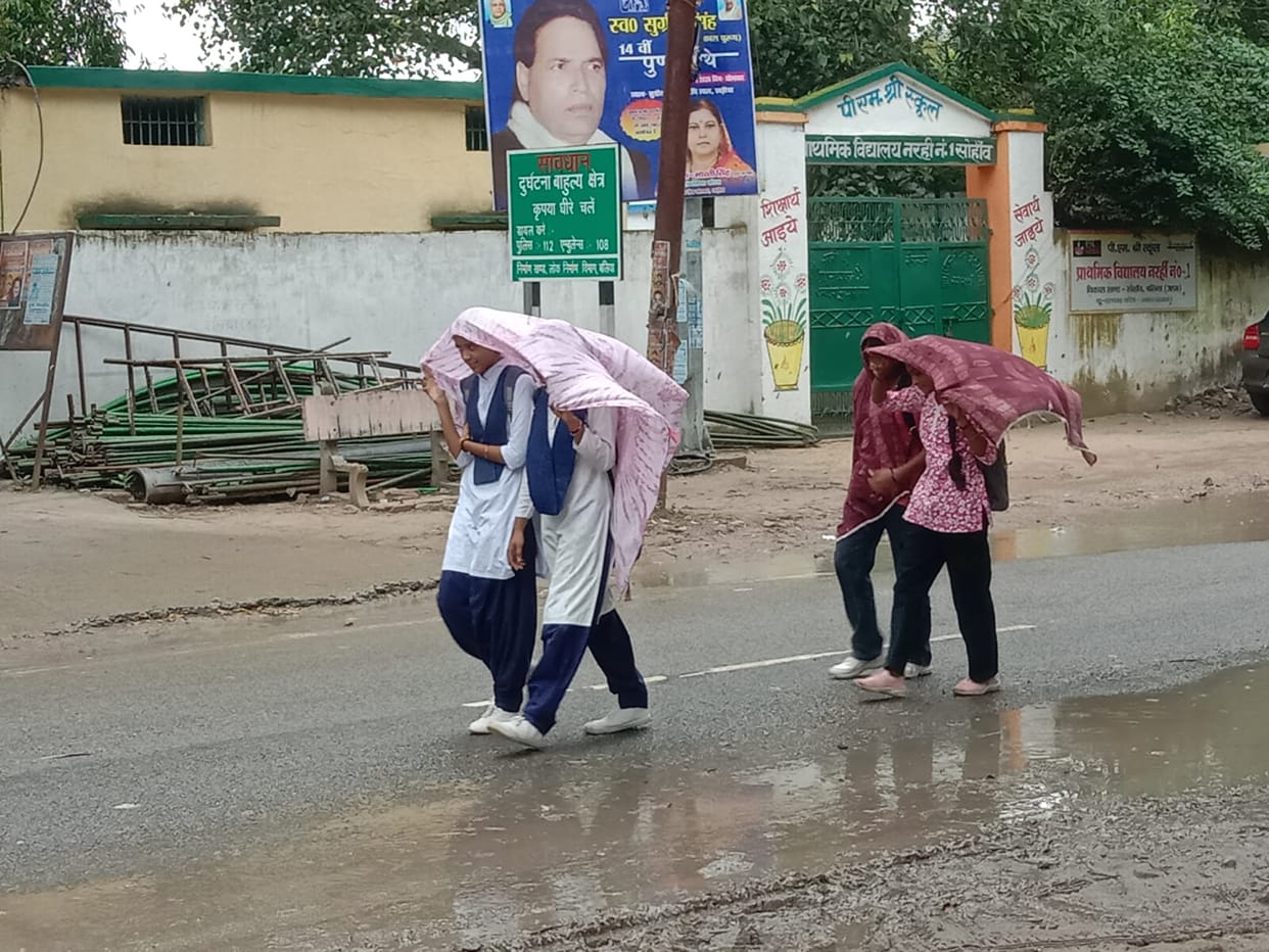 Intermittent rainfall totaling 15 mm occurred throughout the day, with winds blowing at a speed of 10 km/h.