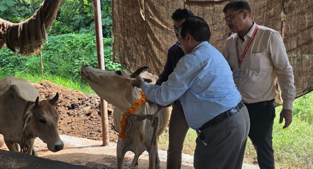 फोटो-16- बलरामपुर के बांसेडीला गांव में पशुओं का टीकाकरण करती टीम। स्रोत विभाग