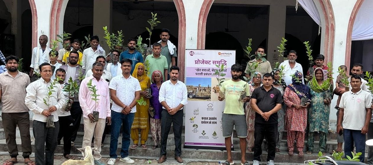 फोटो 24जेएनडी24-कार्यक्रम में बांटे गए फलदाद पौधे। स्रोत कर्मचारी
