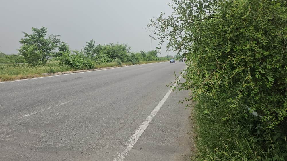 Overgrowth on KMP causes trouble for motorists.