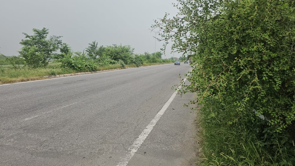 फोटो 75 : केएमपी एक्सप्रेस पर सफेद पट्टी के अंदर तक उगी घास-फूस और झाड़ियां। (संवाद)