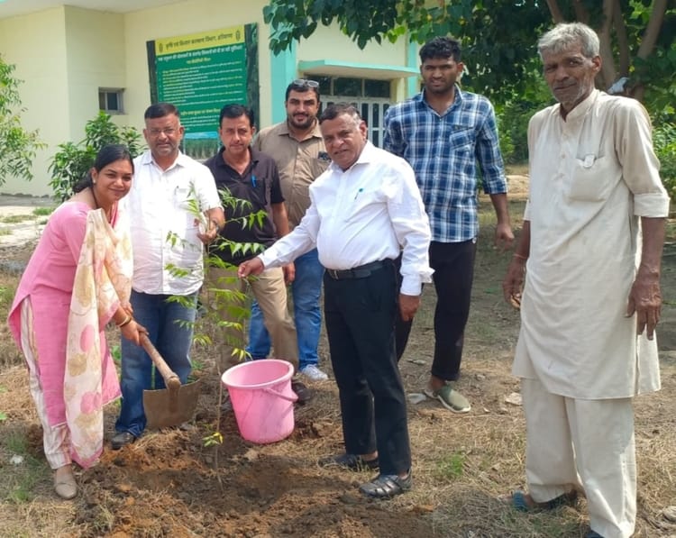 Pledge to plant and care for trees