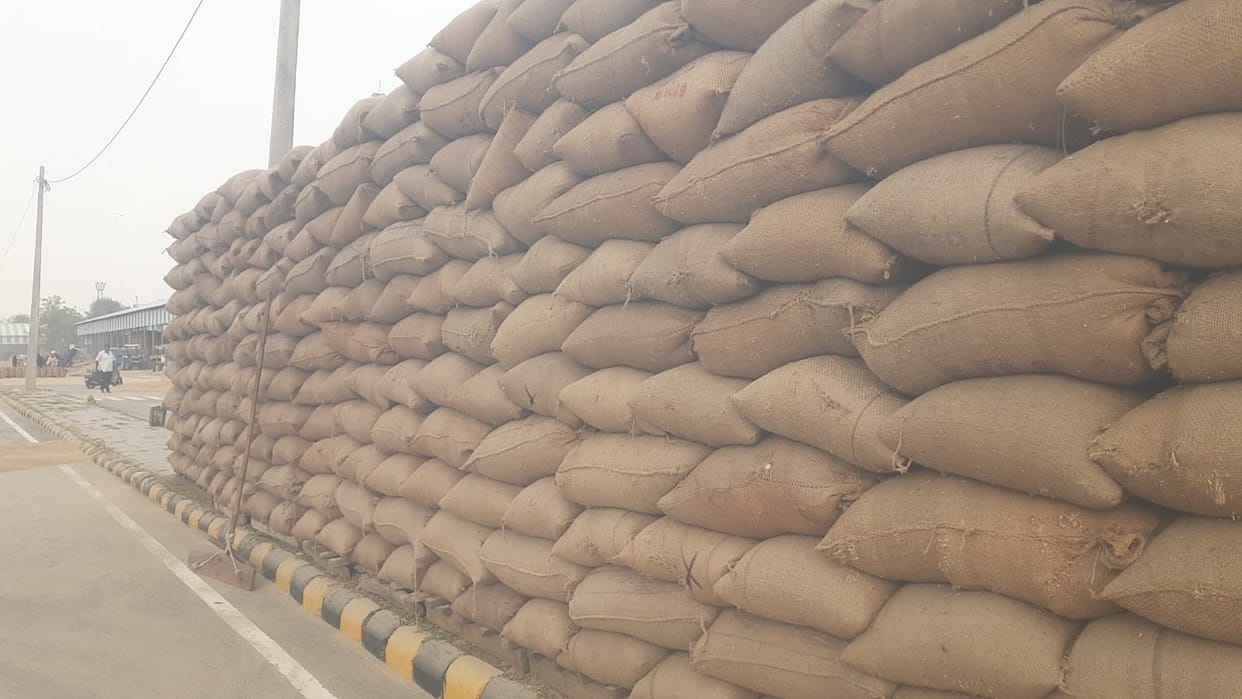 Weighing operations begin at Jagadhri grain market; wait continues at 12 other markets