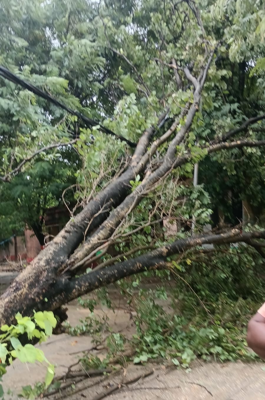 Power outages in over 100 villages due to rain and wind.