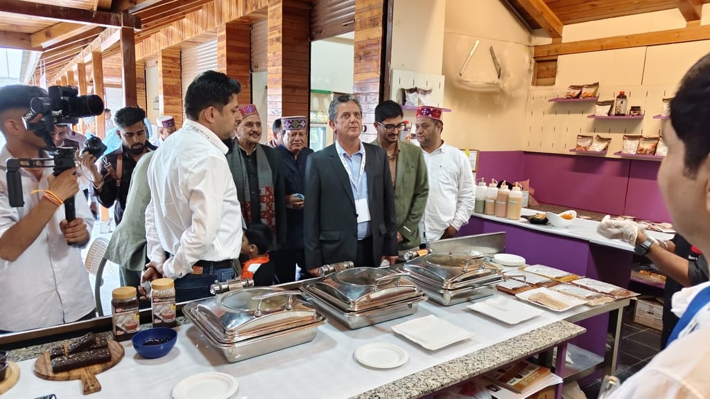 Manali Expo kicks off; over 100 companies arrive.