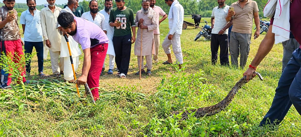 Laborer sleeping in a room in Chuhadpur village dies after being bitten by a snake