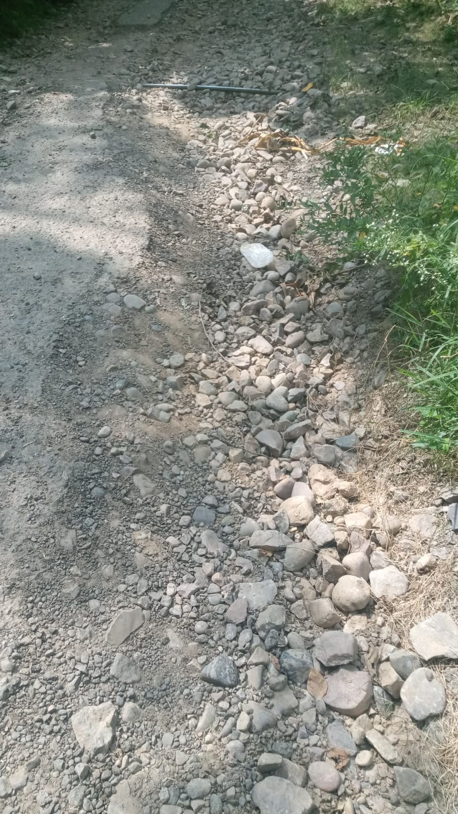 Road in shambles for two years; villagers jolted by potholes.