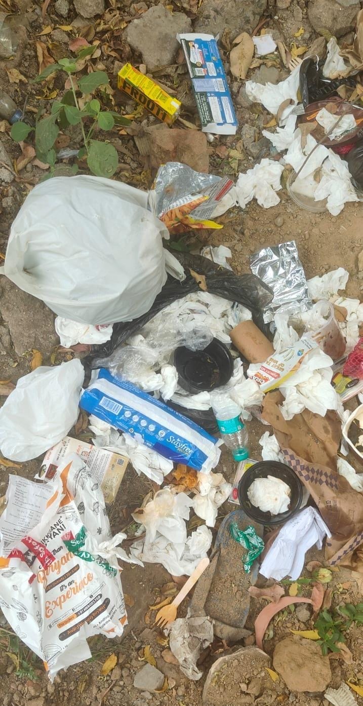 Hear My Voice: Scattered Garbage