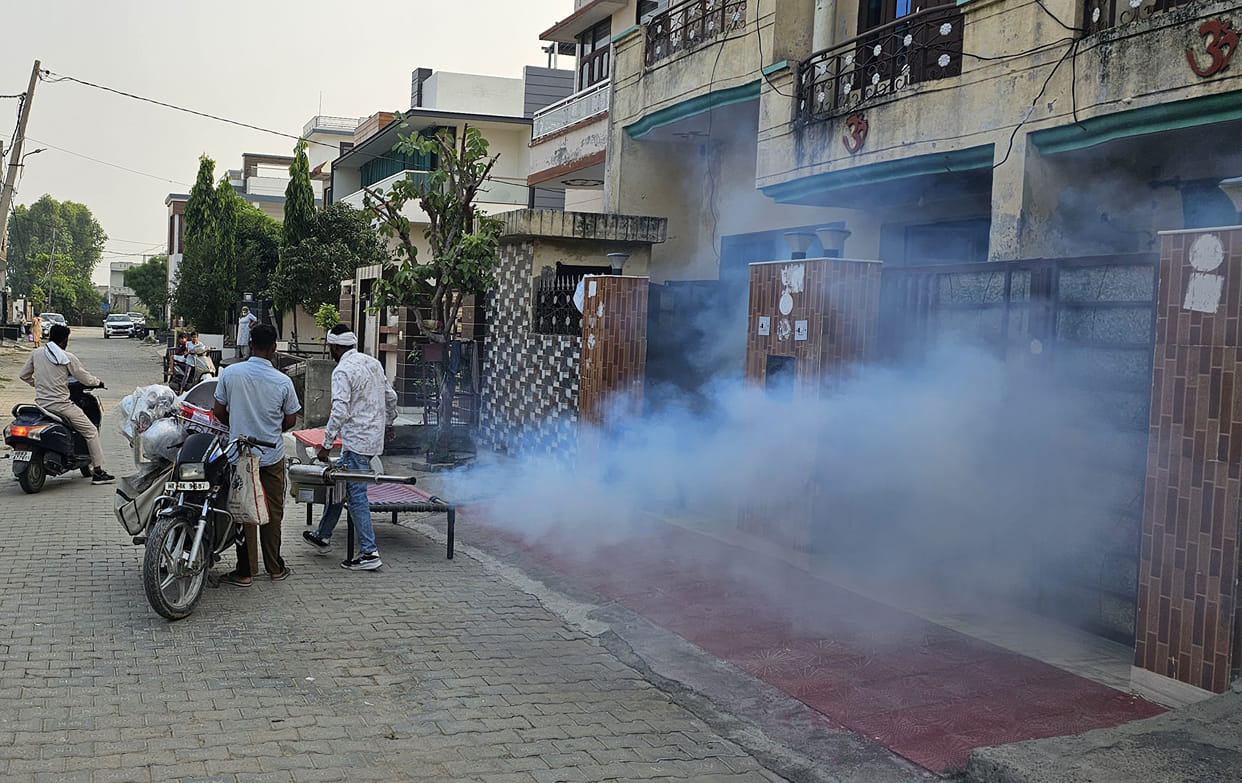 Fogging carried out for protection against mosquitoes.