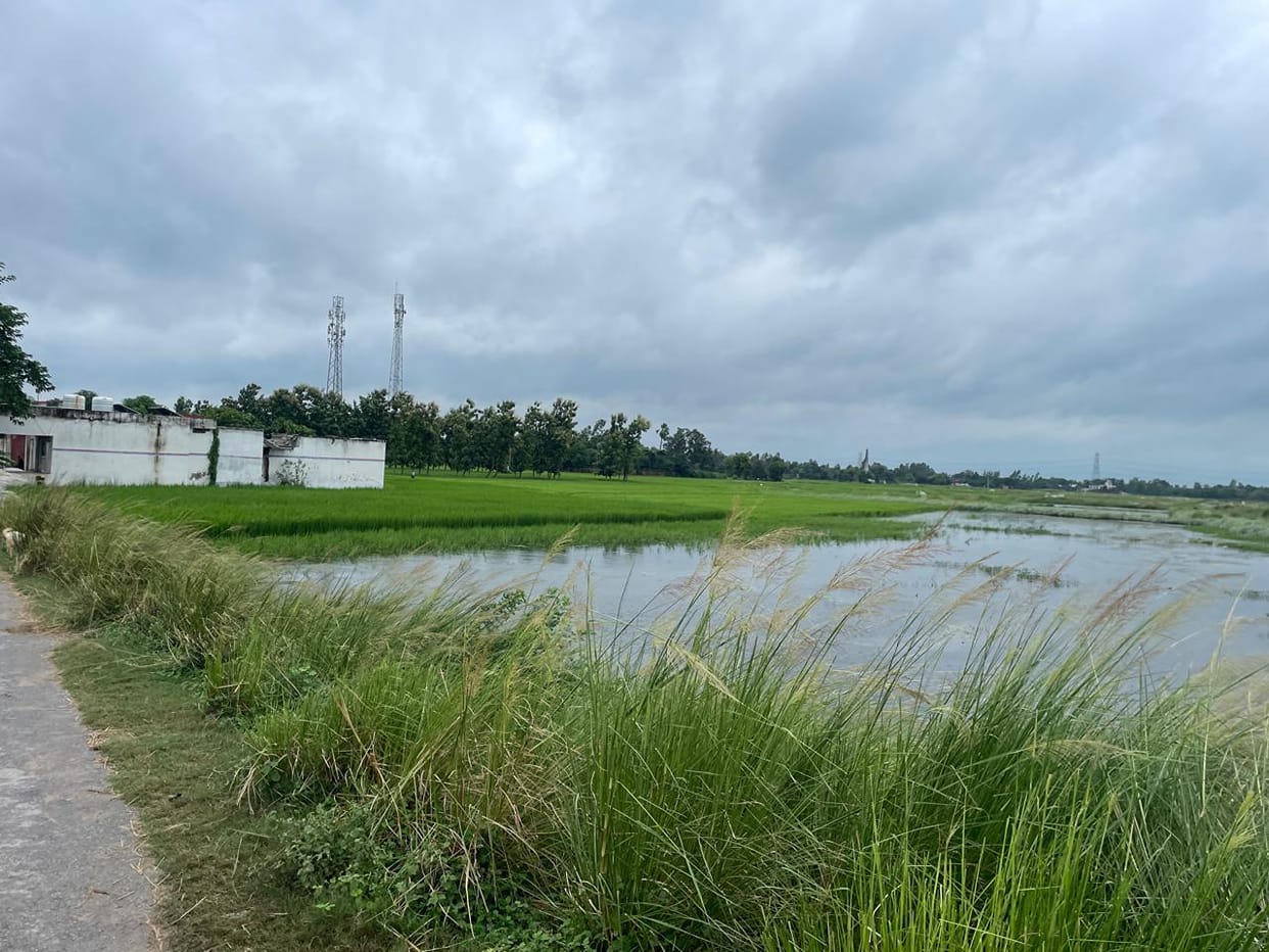 Names of account holders removed from land records after 60 years; 12 acres of land registered in the name of the Irrigation Department.
