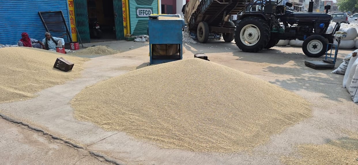 A 'gate pass' for pearl millet will be issued only after geo-tagging and biometric verification of farmers