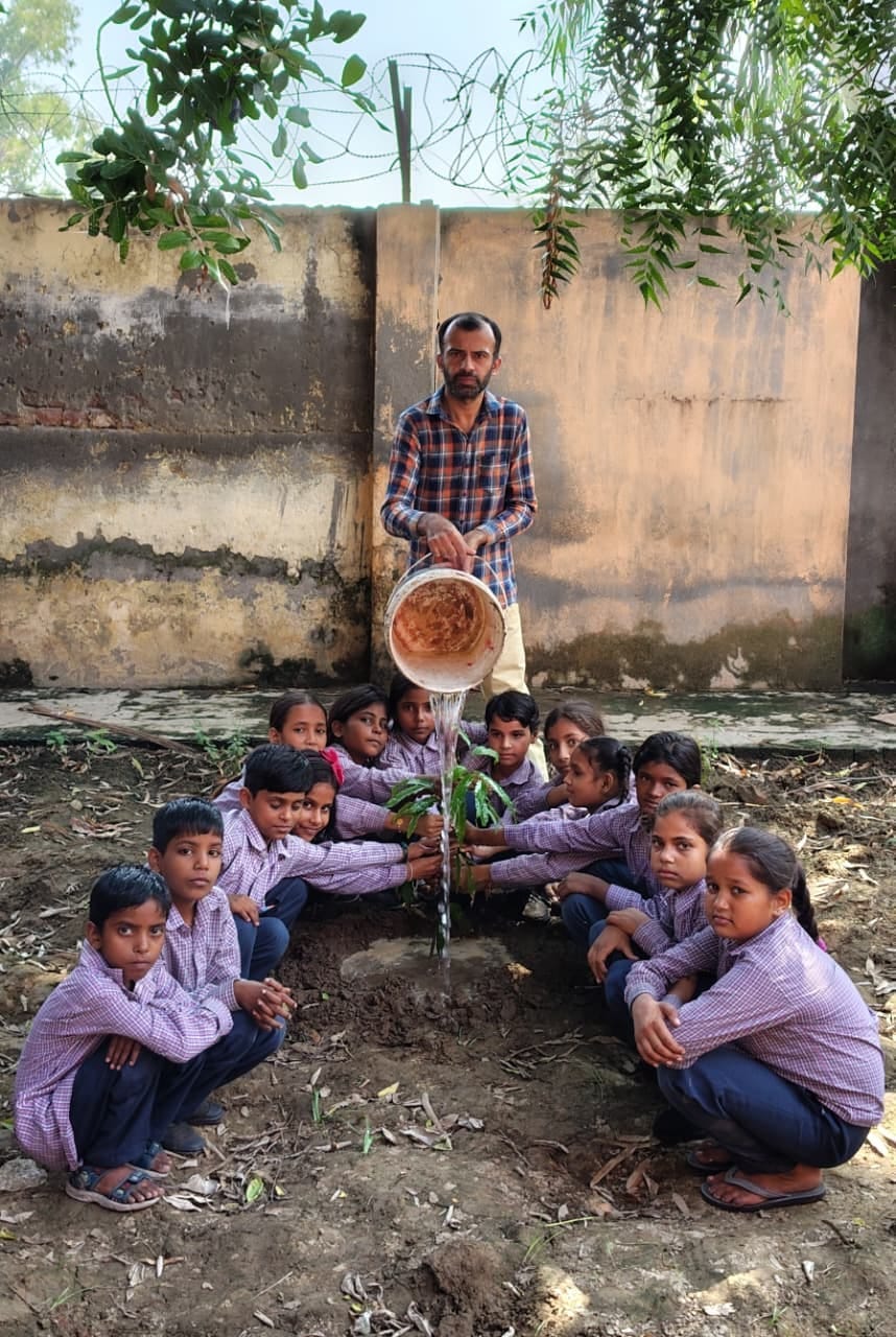 The children planted plants of various species.
