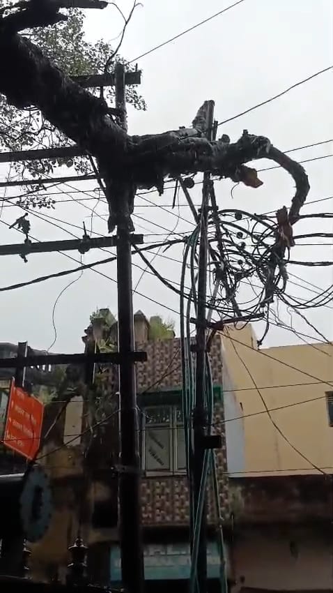 शाहजहांपुर में कच्चा कटरा मोड़ के पास तारों पर पड़ी पेड़ की डाल। संवाद