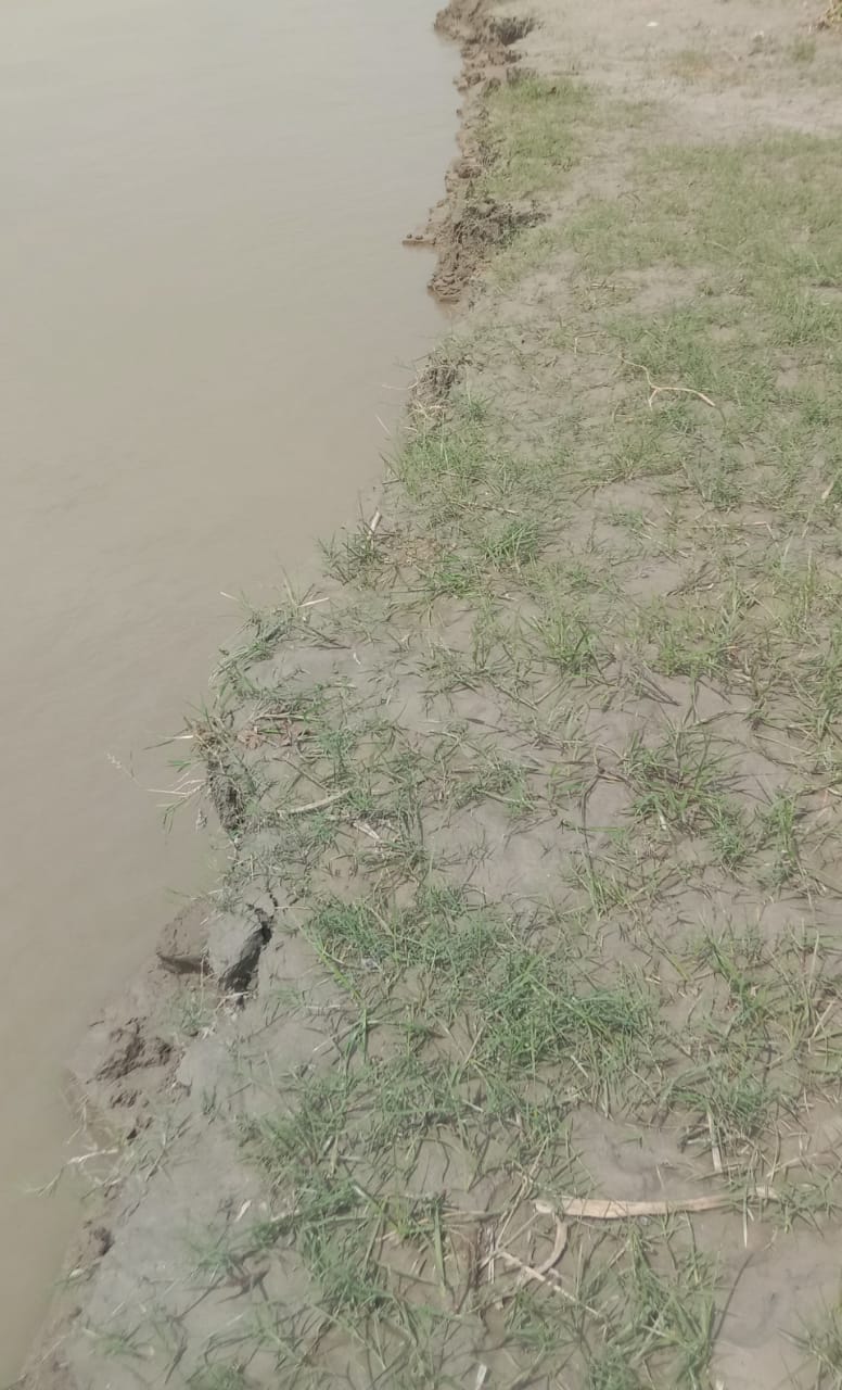 दौलतपुर में कटान करती सरयू नदी-संवाद