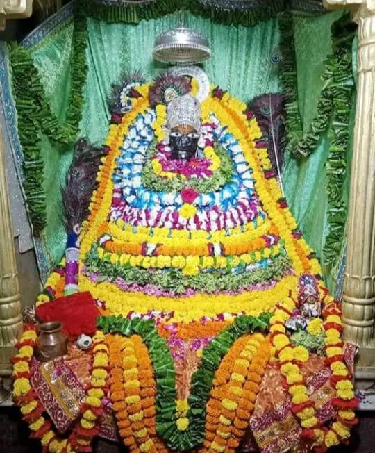 sanwaliya dham karnawar dausa vishnu mahayagya 50000 devotees grand bhandara kheer pua prasad