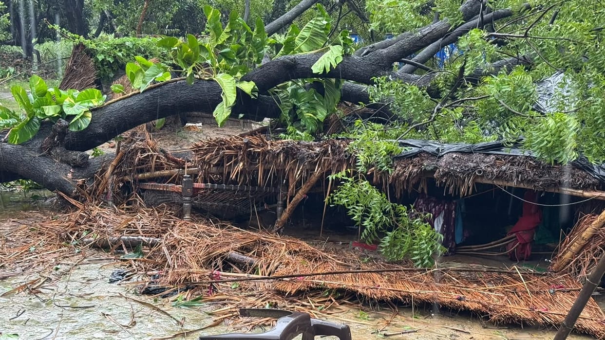 Severe damage to sugarcane and paddy crops