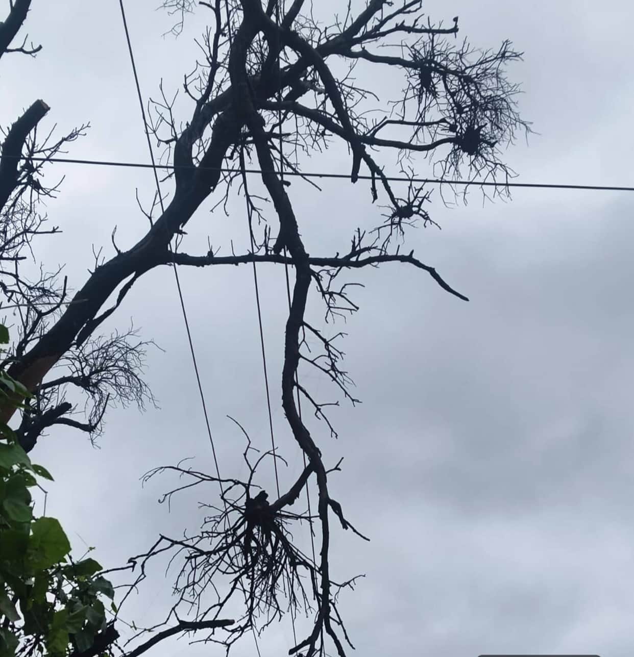 Power supply disrupted in Kudwar; one lakh people in distress.