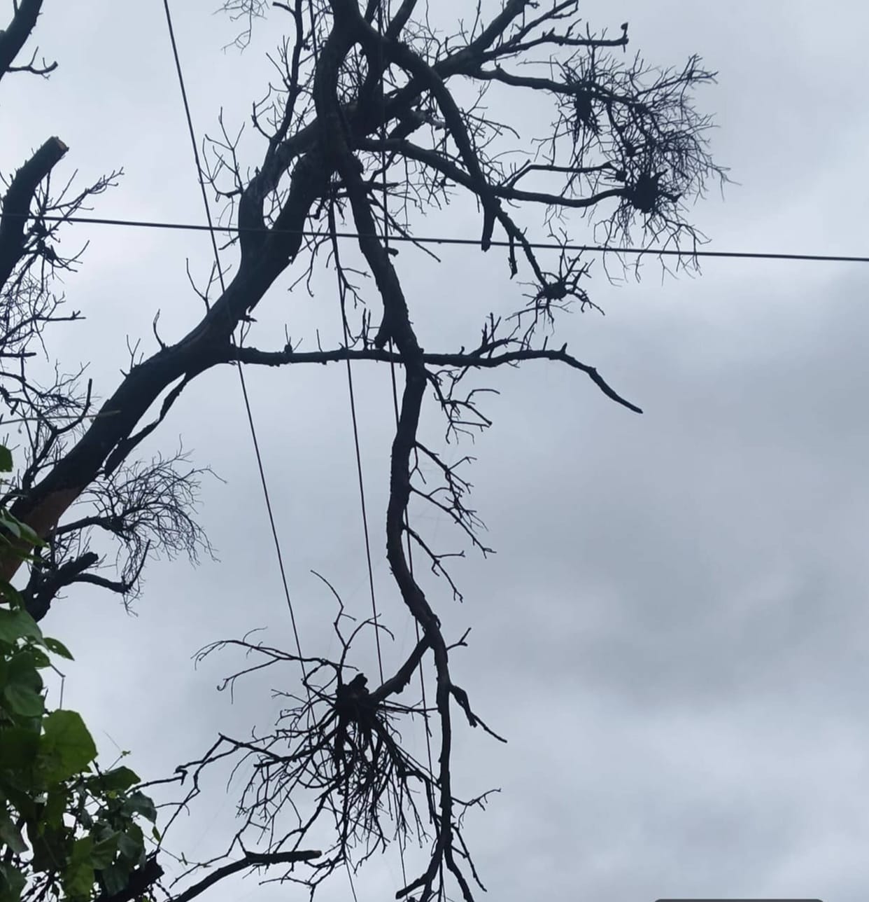 Power supply disrupted in Kudwar; one lakh people in distress.