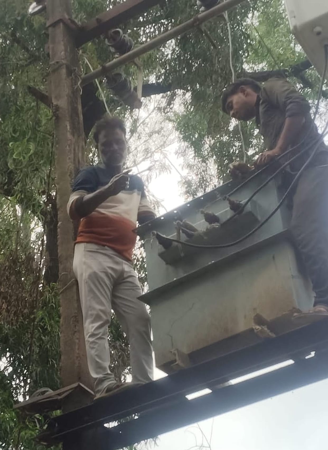 Power supply to 50 villages remained disrupted for eight hours