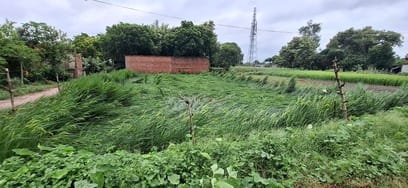 Power supply disrupted in 200 villages due to storm and rain