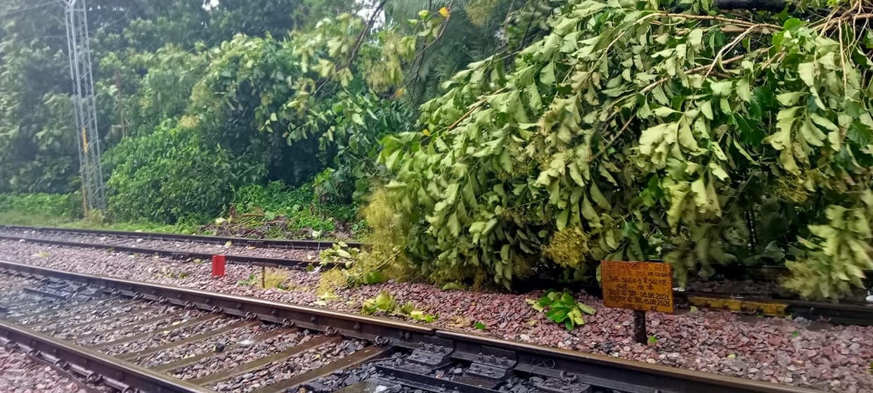 Tree falls on railway track near Chureb