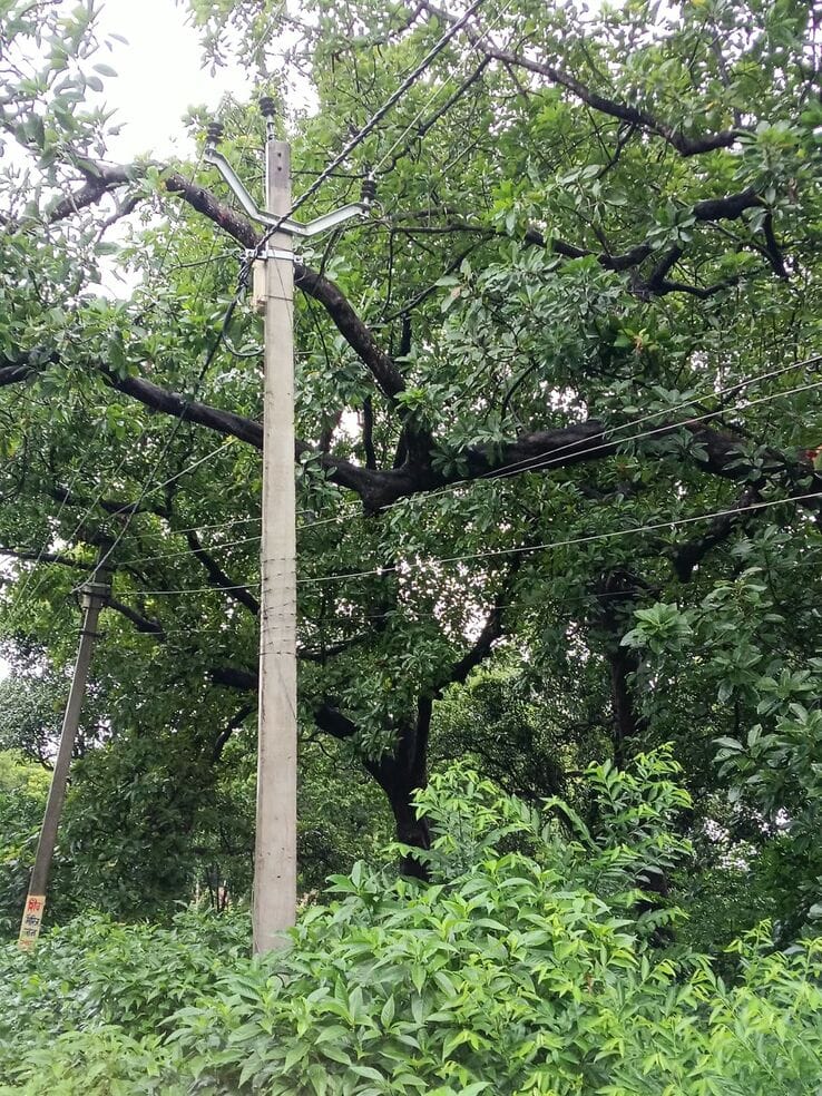 30 poles fell and 10 transformers were damaged in the rain