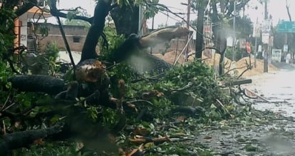 किसान इंटर कालेज मार्ग पर पेड गिरने से टूटा खंभा और तार फोटो स्रोत-संवाद