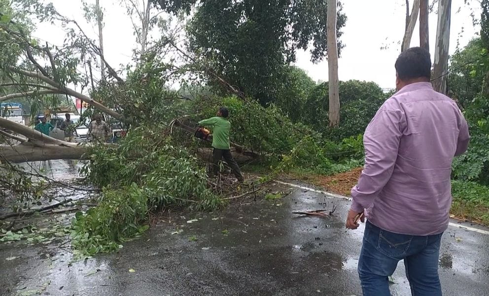 लाइन व मार्ग पर गिरे पेड़ को काटता बिजली निगम का कर्मचारी। संवाद