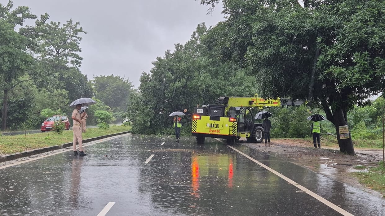 Traffic disrupted on the highway due to a fallen mango tree.