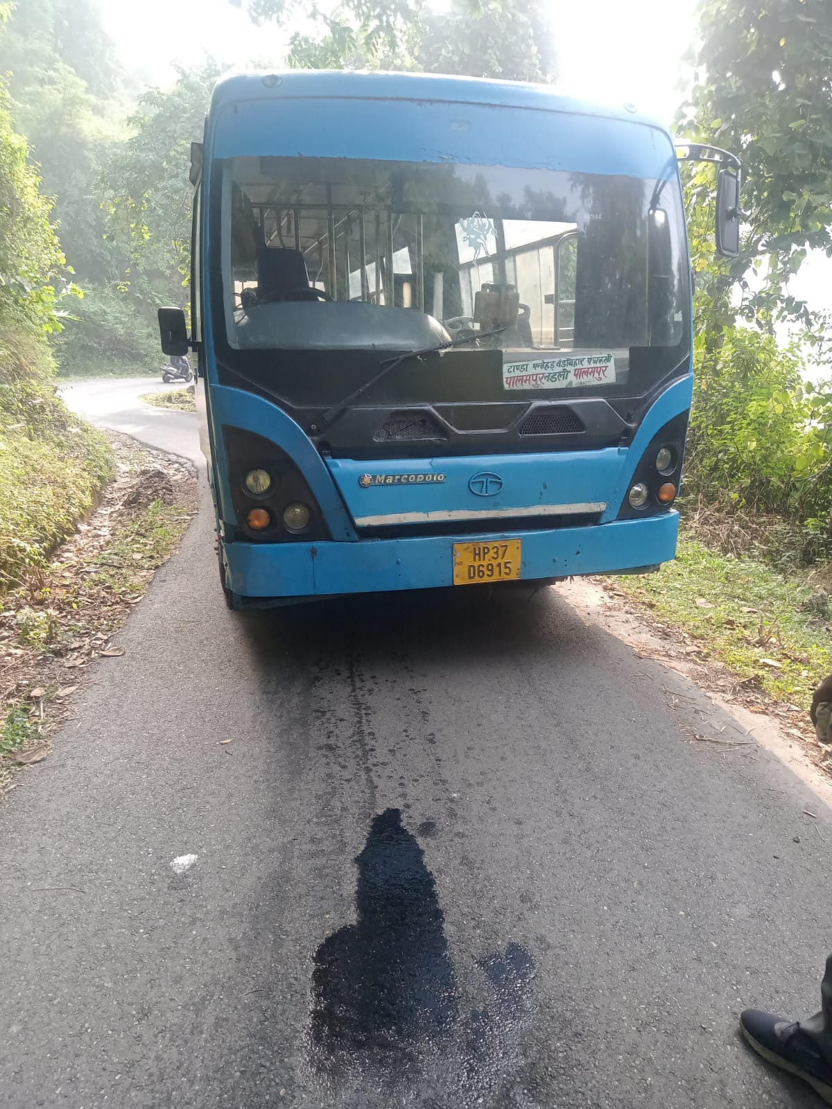 Government bus coming from Nadli to Palampur gasped on the way