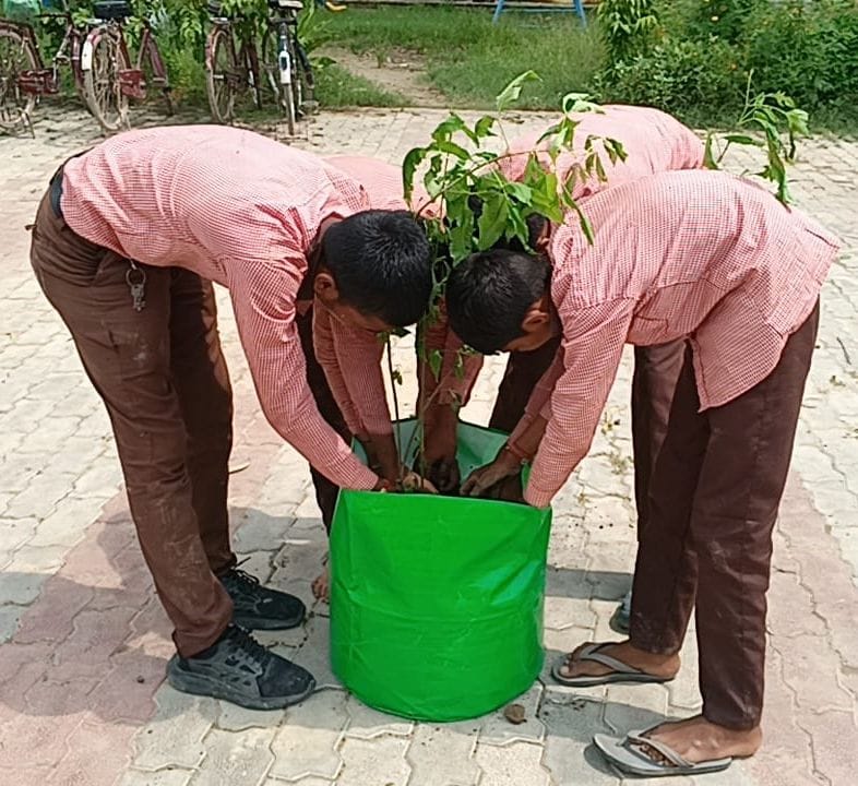 unnao news