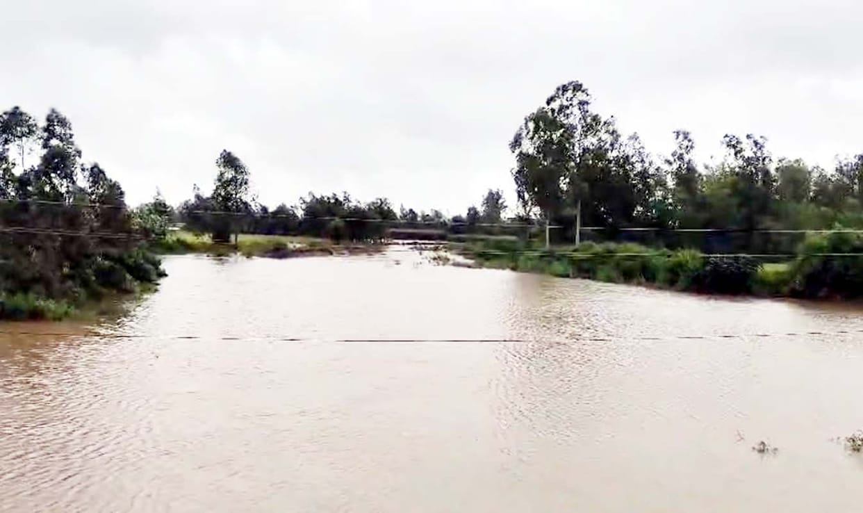 Two days of rain brought water to the Bhainsi River, which had been dry for 20 years.