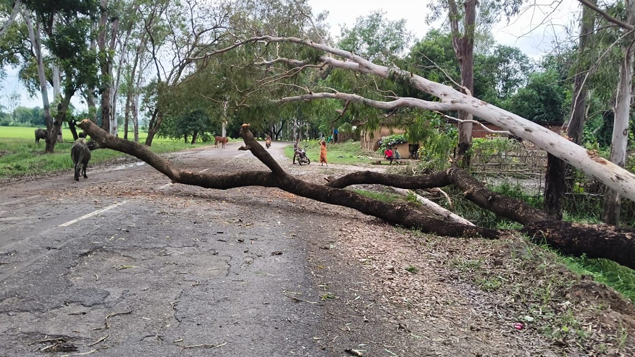 Winds blew at 45 km/h; power lines snapped and trees fell, disrupting the power supply to 150 villages, including Robertsganj.