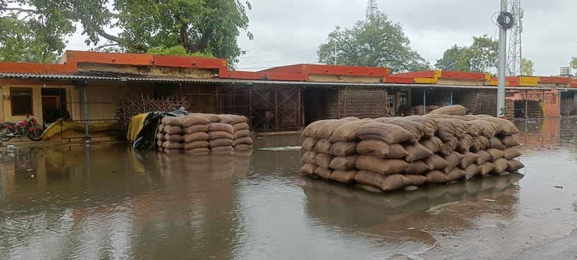 Thousands of quintals of paddy got soaked due to waterlogging at the Roza Mandi.