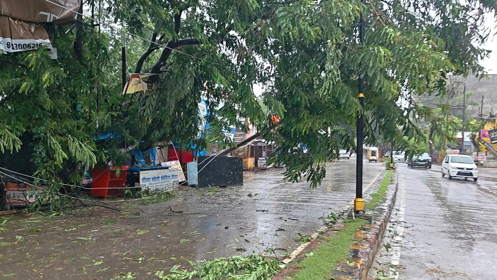 विकास भवन के पास गिरा पेड़ व बिजली का खंभा, टूटे तार। संवाद