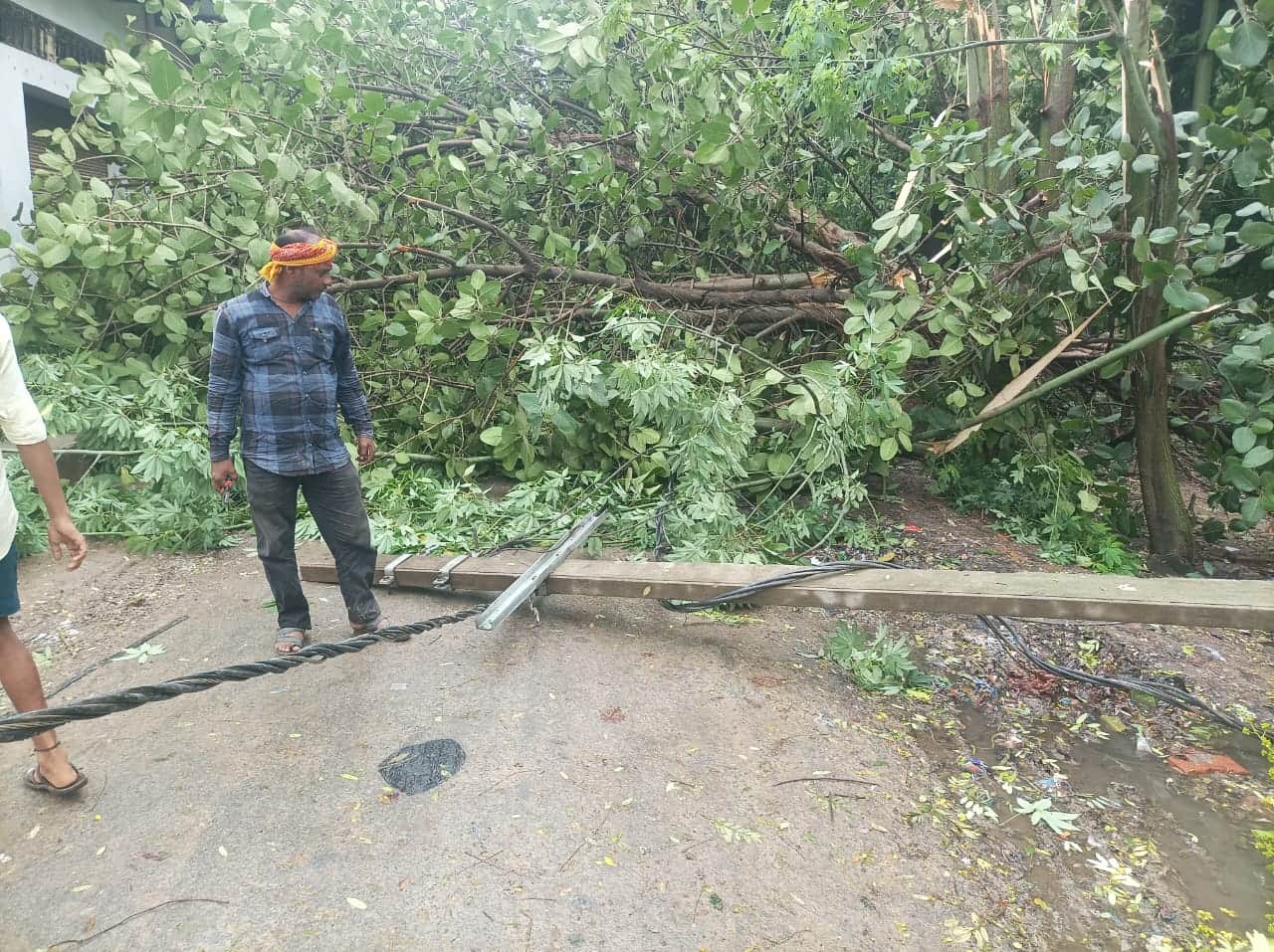 आंधी-बारिश में गिरा पेड़ और बिजली का खंभा। संवाद