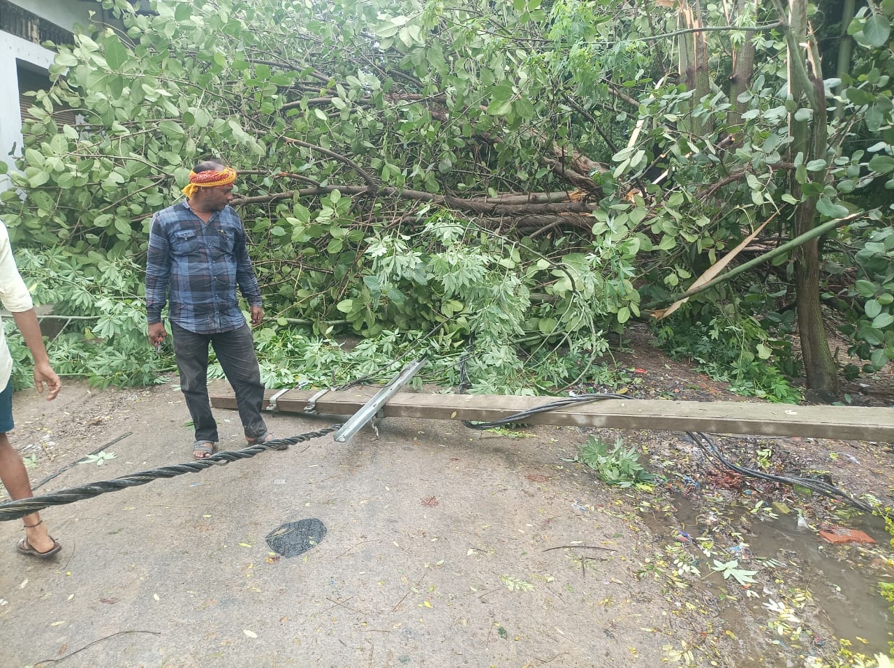 आंधी-बारिश में गिरा पेड़ और बिजली का खंभा। संवाद