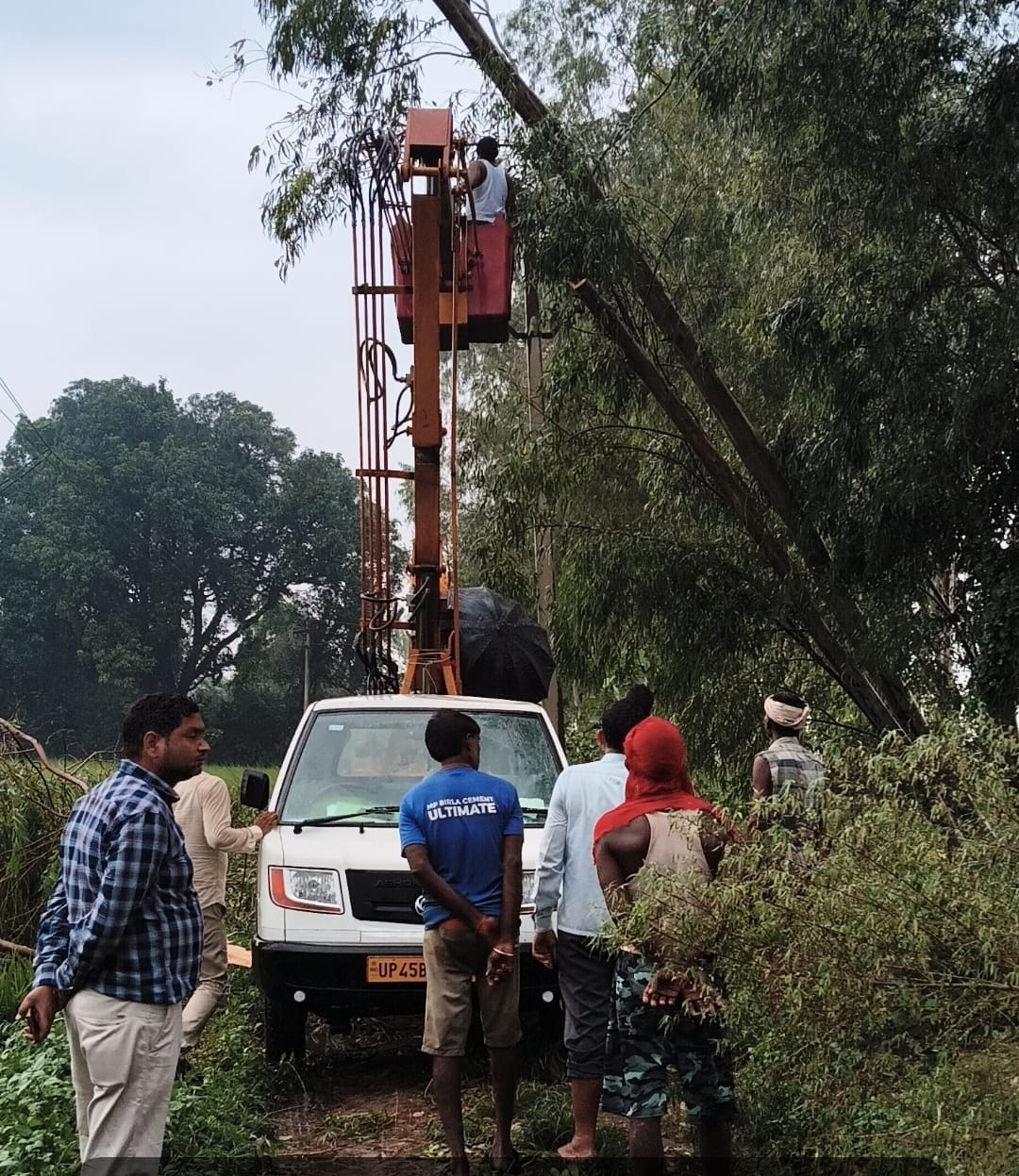 अफजलपुर में तार पर गिरी बांस की कोठ को काटते बिजलीकर्मी। स्रोत विभाग