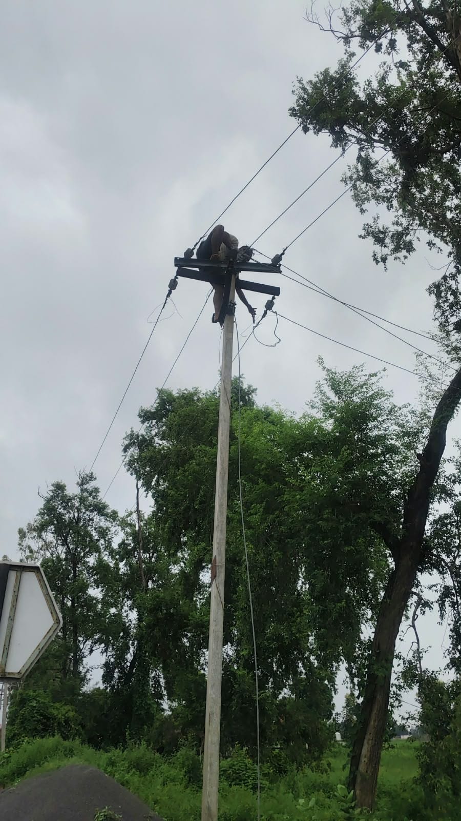 बसंतापुर फीडर की सप्लाई ठीक करते कर्मचारी। संवाद