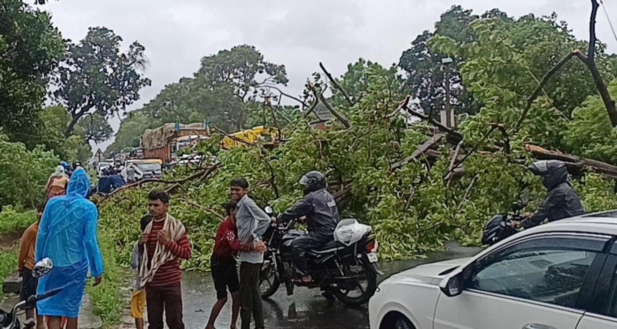 Trees fell due to strong winds and rain; major roads blocked.